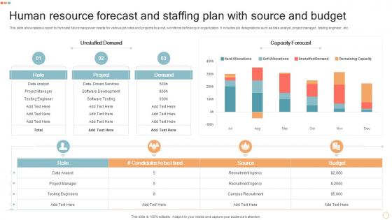 Human Resource Forecast And Staffing Plan With Source And Budget