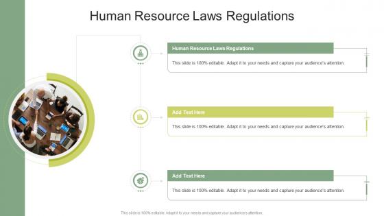 Human Resource Laws Regulations In Powerpoint And Google Slides Cpb