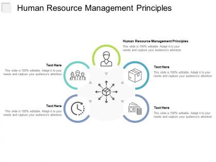 Human resource management principles ppt powerpoint presentation infographic template icon cpb