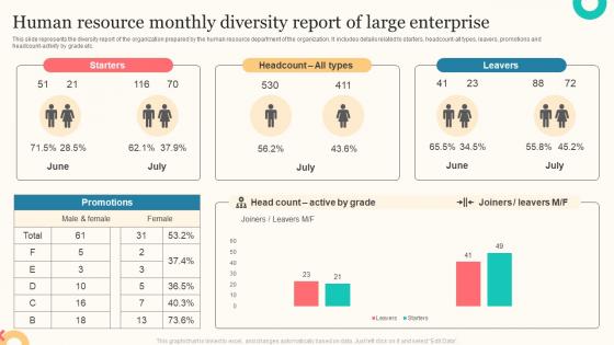 Human Resource Monthly Diversity Report Of Large Enterprise