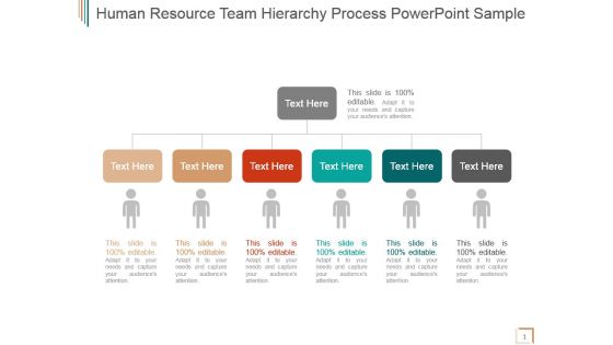Human resource team hierarchy process powerpoint sample