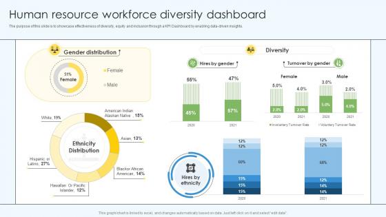 Human Resource Workforce Diversity Dashboard DEI Training Program DTE SS