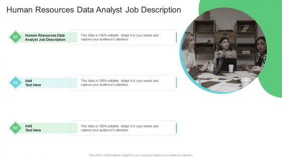 Human Resources Data Analyst Job Description In Powerpoint And Google Slides Cpb