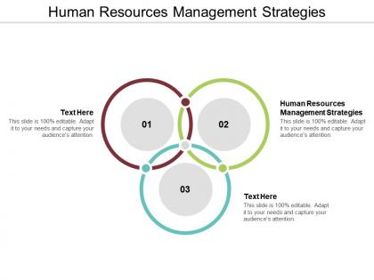 Human resources management strategies ppt powerpoint presentation gallery shapes cpb