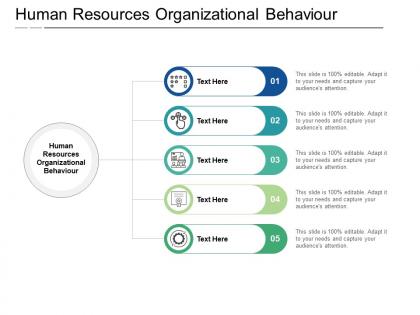 Human resources organizational behaviour ppt powerpoint presentation portfolio graphics cpb
