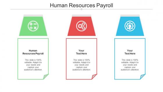 Human Resources Payroll Ppt Powerpoint Presentation Professional Styles Cpb