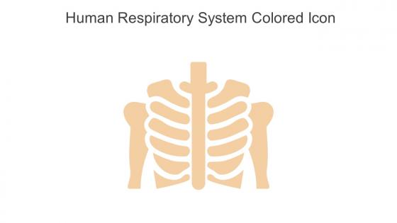 Human Respiratory System Colored Icon In Powerpoint Pptx Png And Editable Eps Format