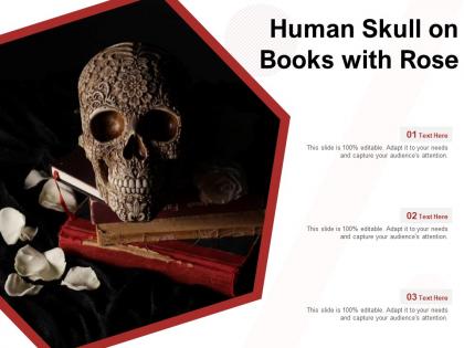 Human skull on books with rose