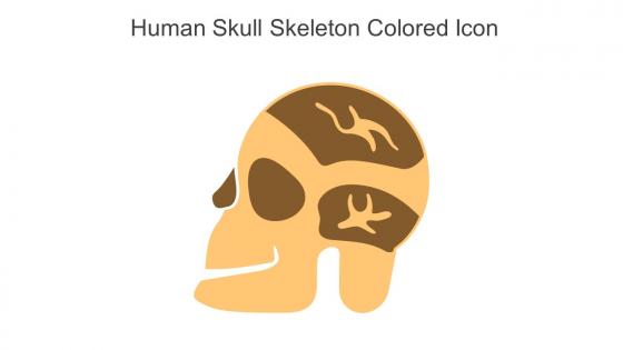 Human Skull Skeleton Colored Icon In Powerpoint Pptx Png And Editable Eps Format