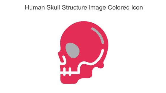 Human Skull Structure Image Colored Icon In Powerpoint Pptx Png And Editable Eps Format