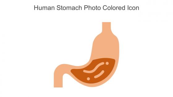 Human Stomach Photo Colored Icon In Powerpoint Pptx Png And Editable Eps Format