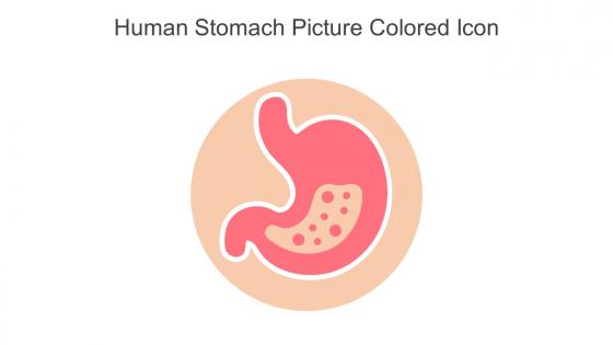 Human Stomach Picture Colored Icon In Powerpoint Pptx Png And Editable Eps Format