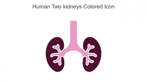 Human Two Kidneys Colored Icon In Powerpoint Pptx Png And Editable Eps Format