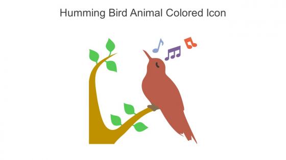 Humming Bird Animal Colored Icon In Powerpoint Pptx Png And Editable Eps Format