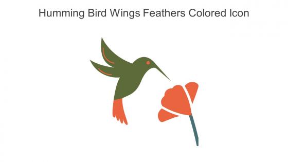 Humming Bird Wings Feathers Colored Icon In Powerpoint Pptx Png And Editable Eps Format