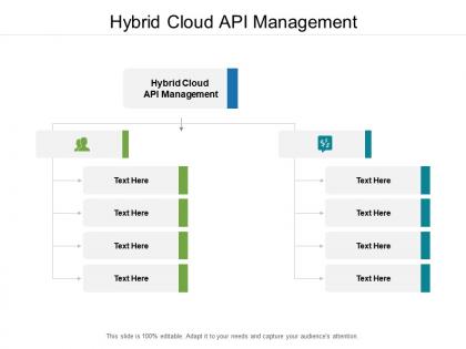 Hybrid cloud api management ppt powerpoint presentation pictures styles cpb