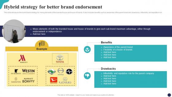 Hybrid Strategy For Better Brand Endorsement Brand Portfolio Strategy Guide