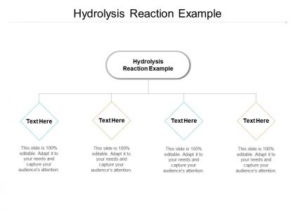 Hydrolysis reaction example ppt powerpoint presentation infographic template slideshow cpb