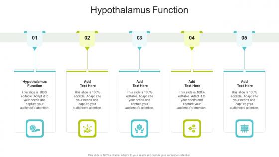 Hypothalamus Function In Powerpoint And Google Slides Cpb