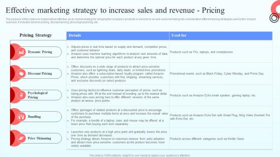 I213 Effective Marketing Strategy To Increase Sales And Revenue Pricing Online Marketplace BP SS