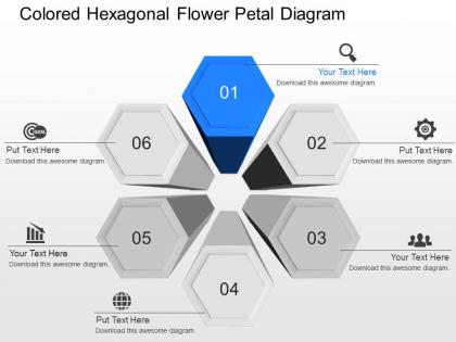 Ib colored hexagonal flower petal diagram powerpoint template