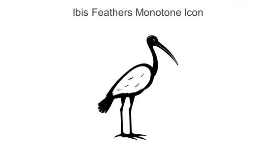 Ibis Feathers Monotone Icon In Powerpoint Pptx Png And Editable Eps Format
