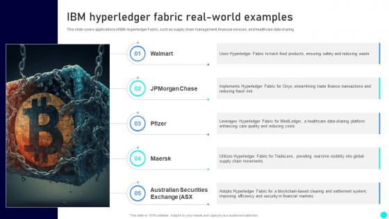 IBM Hyperledger Fabric Real World Examples Exploring Diverse Blockchain BCT SS
