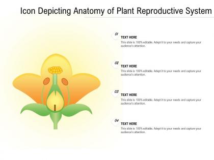 Icon depicting anatomy of plant reproductive system