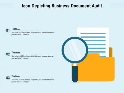 Icon depicting business document audit