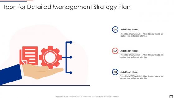Icon For Detailed Management Strategy Plan