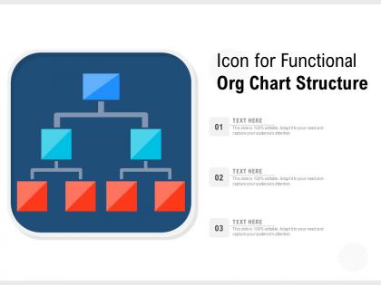 Icon for functional org chart structure