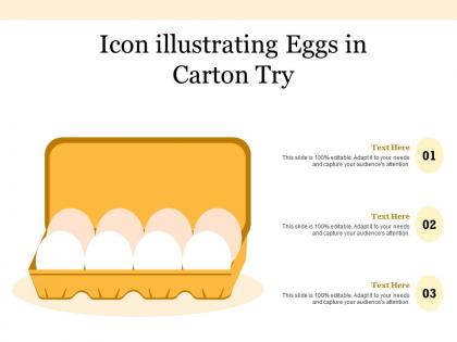 Icon illustrating eggs in carton try