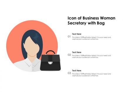Icon of business woman secretary with bag