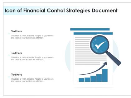 Icon of financial control strategies document