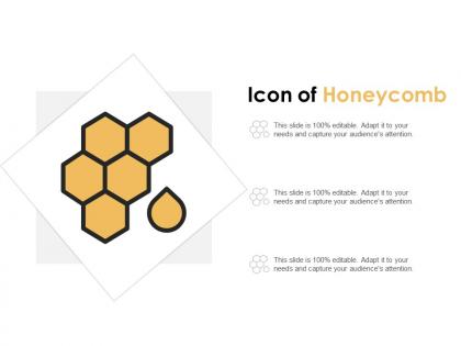 Icon of honeycomb