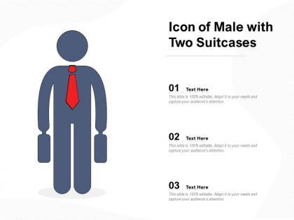Icon of male with two suitcases