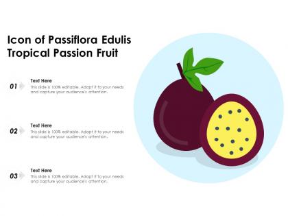 Icon of passiflora edulis tropical passion fruit