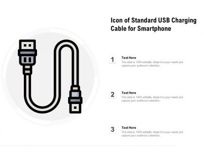 Icon of standard usb charging cable for smartphone