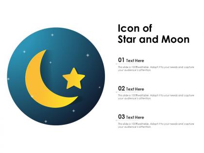 Icon of star and moon
