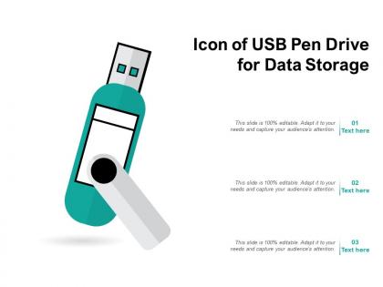 Icon of usb pen drive for data storage