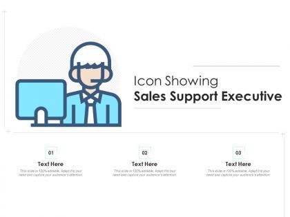 Icon showing sales support executive
