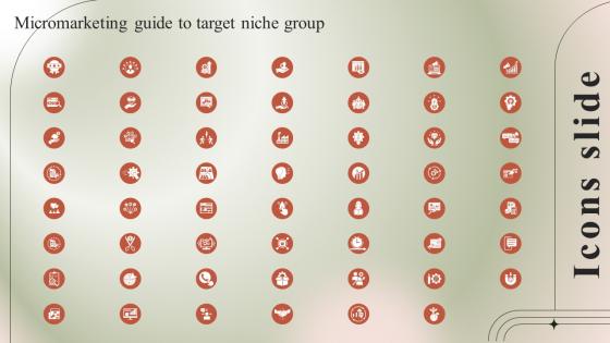 Icon Slide Micromarketing Guide To Target Niche Group MKT SS