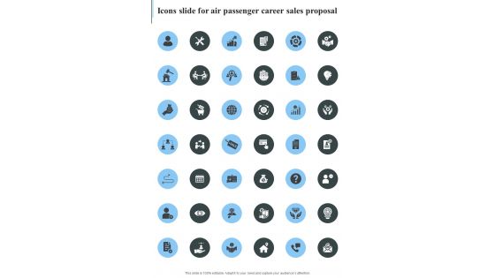 Icons Slide For Air Passenger Career Sales Proposal One Pager Sample Example Document
