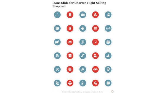 Icons Slide For Charter Flight Selling Proposal One Pager Sample Example Document