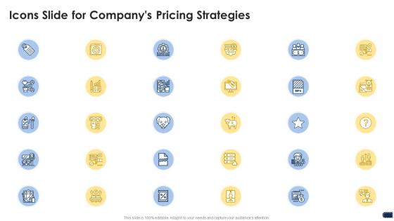 Icons slide for companys pricing strategies ppt guide