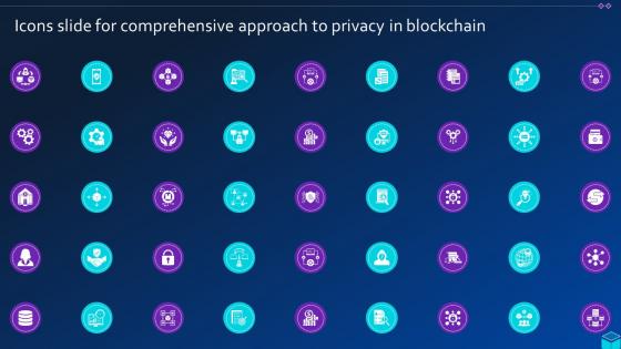 Icons Slide For Comprehensive Approach To Privacy In Blockchain BCT SS