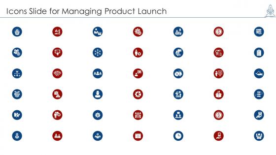 Icons slide for managing product launch