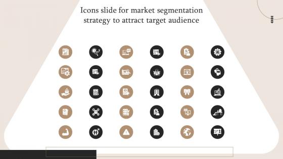 Icons Slide For Market Segmentation Strategy To Attract Target Audience MKT SS V