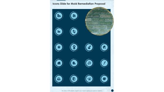 Icons Slide For Mold Remediation Proposal One Pager Sample Example Document