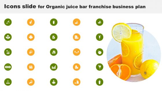 Icons Slide For Organic Juice Bar Franchise Business Plan BP SS